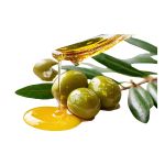 Návrh bez názvu (22)